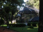 The botanic garden, Palermo.