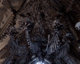 The bone chandelier