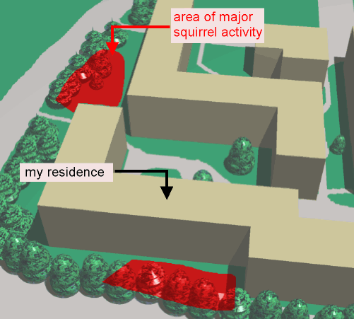 Map Of Recent Squirrel Activity