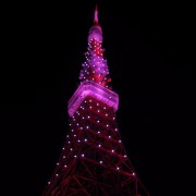 Tokyo Tower. The one in Paris is a little better somehow.