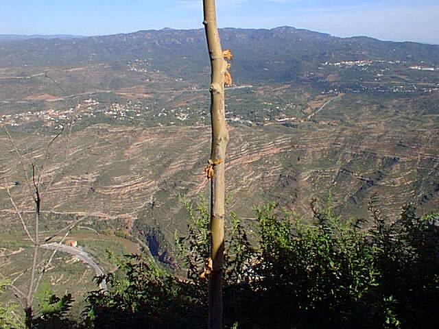 View from the top of Montserrat.