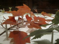 Glass leaves. Glass leaves.