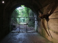 The war tunnels