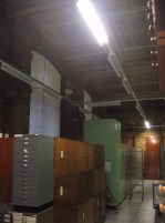NHM collections
